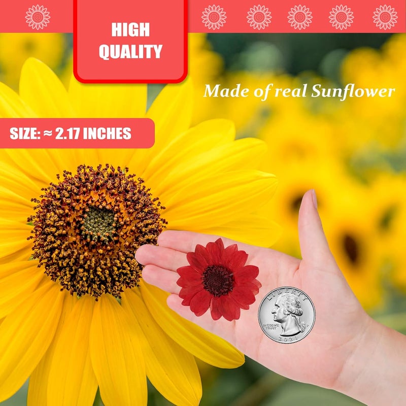 ALJ 60PCS Natural Small Dried Sunflowers for Resin, Red Real Pressed Sunflower Dry Sunflowers for Crafts DIY Epoxy Resin Mold Jewelry Candle Scrapbooking Card Making Home Wedding Decoration - Image 2